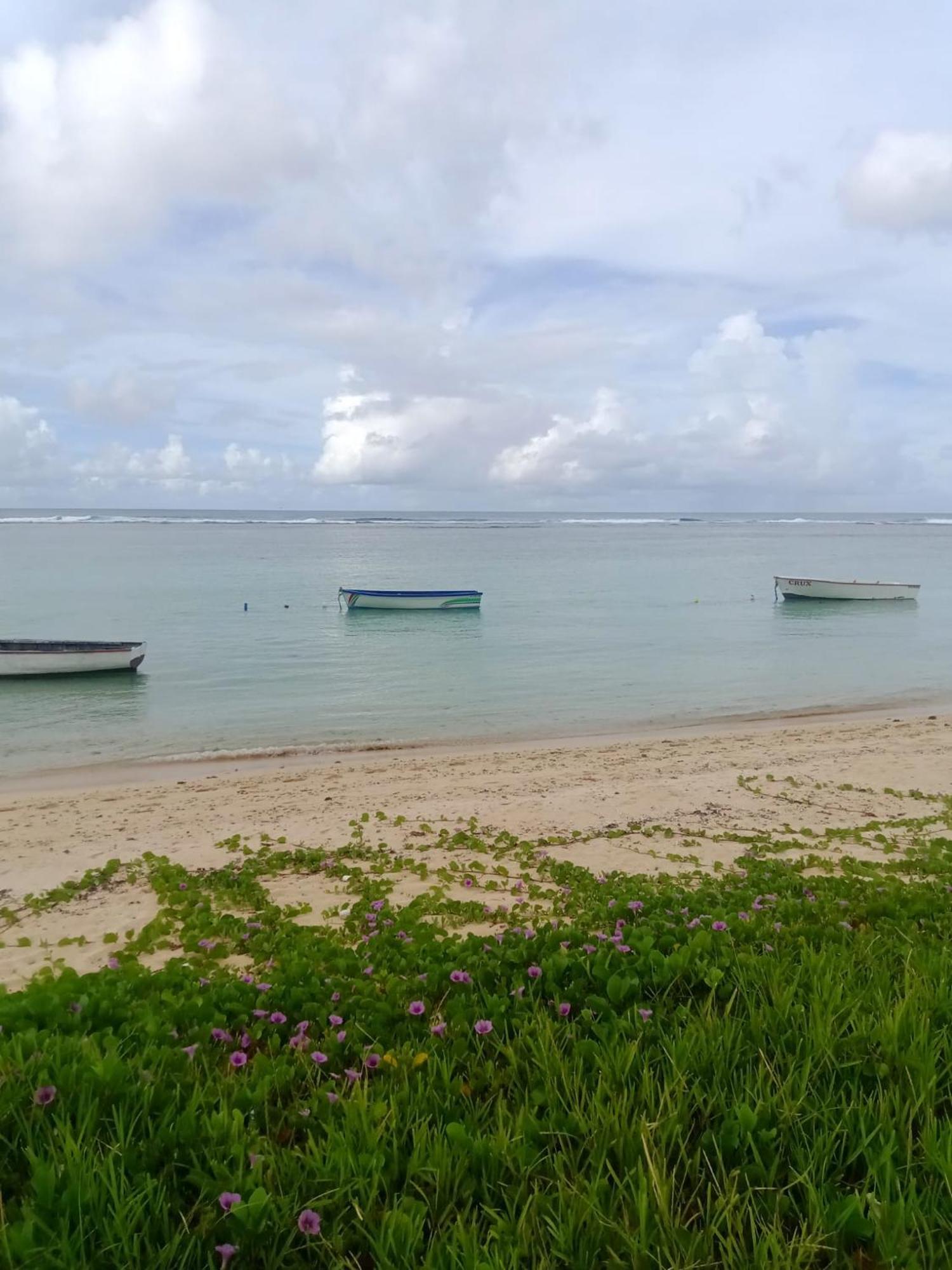 Residence Des Cascades Surinam エクステリア 写真